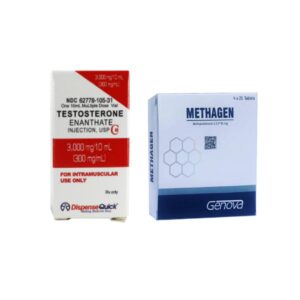 Bulking Cycle Beginner